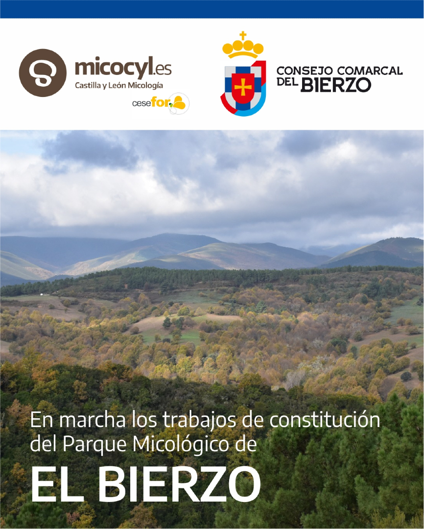 Programa Micocyl tweet media