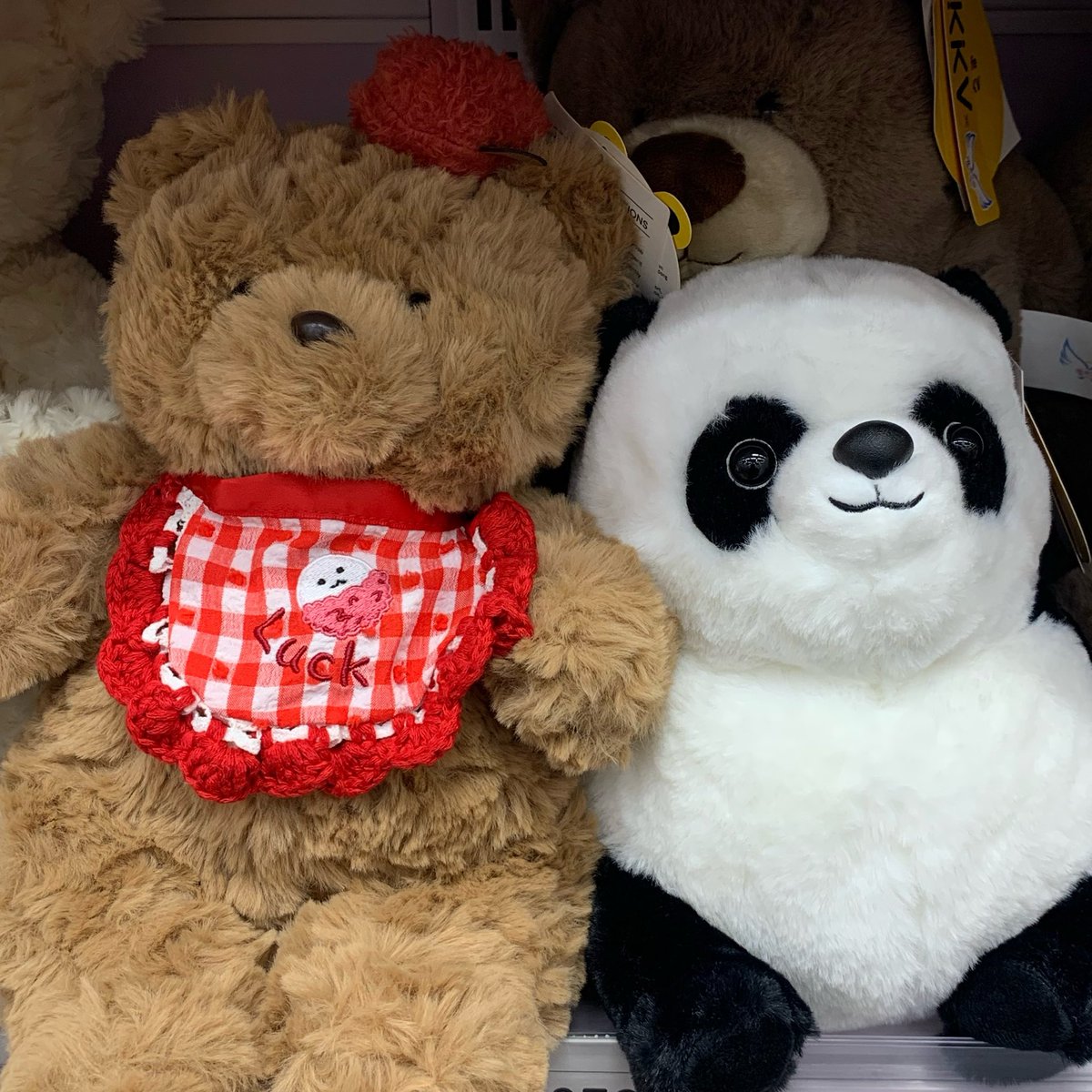 ddadeuthanna's tweet image. everywhere i go, i see my copfi 🐻🐼 #copperfifa