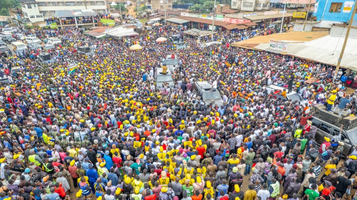 Zippy☆ tweet media