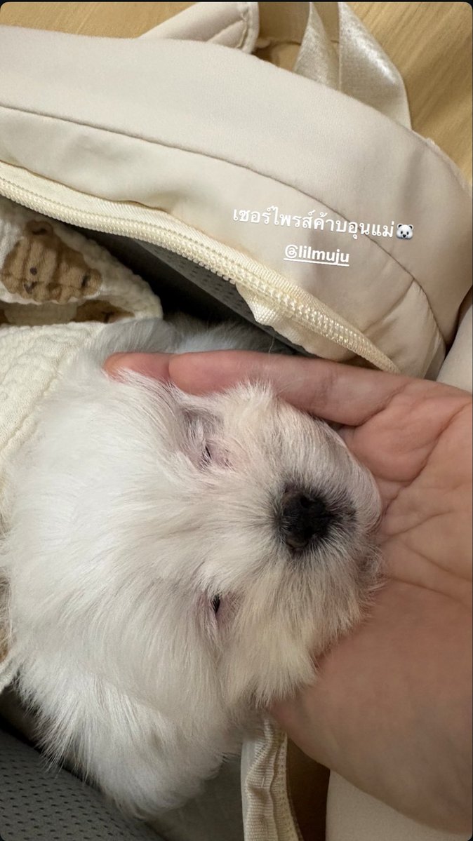 en εїɞ tweet media