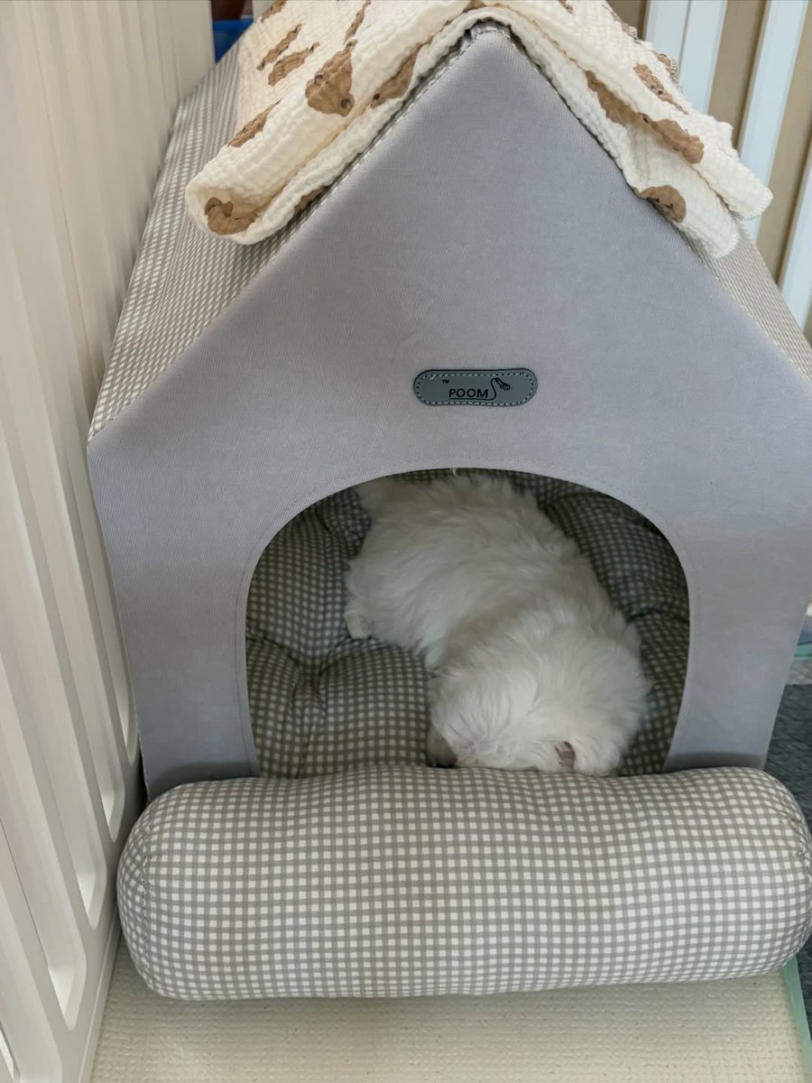 en εїɞ tweet media