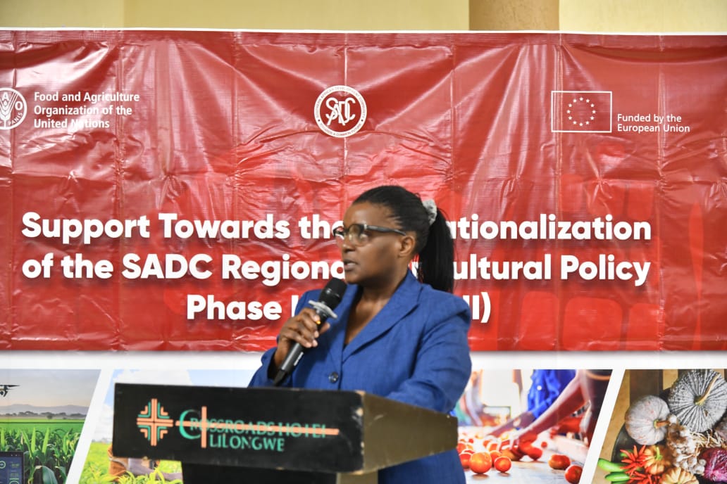 FAOMalawi's tweet photo. Malawi launches Phase II of the #EU funded project 'Support Towards the Operationalization of the SADC Regional Agricultural Policy'. #STOSARII is being implemented by FAO in partnership with the @MalawiGovt &amp; @SADC_News to improve food security &amp; market access across SADC. https://t.co/EZDiahxEq6
