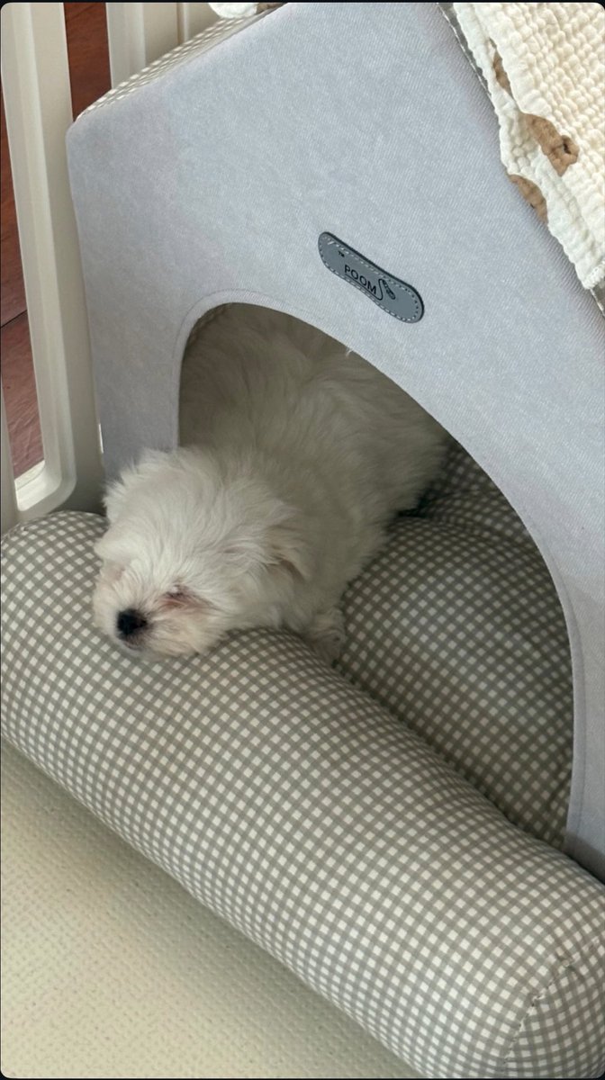 en εїɞ tweet media