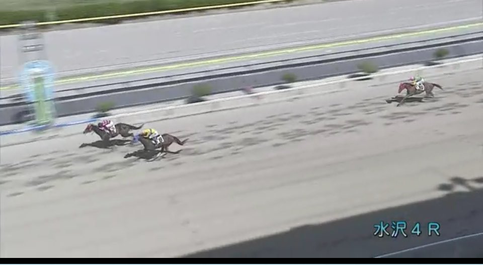 BØSS☆ぼす🐺🐴仔 tweet media