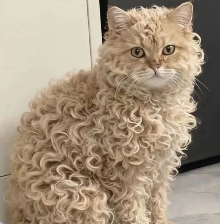 KU_DAM62®️ tweet media