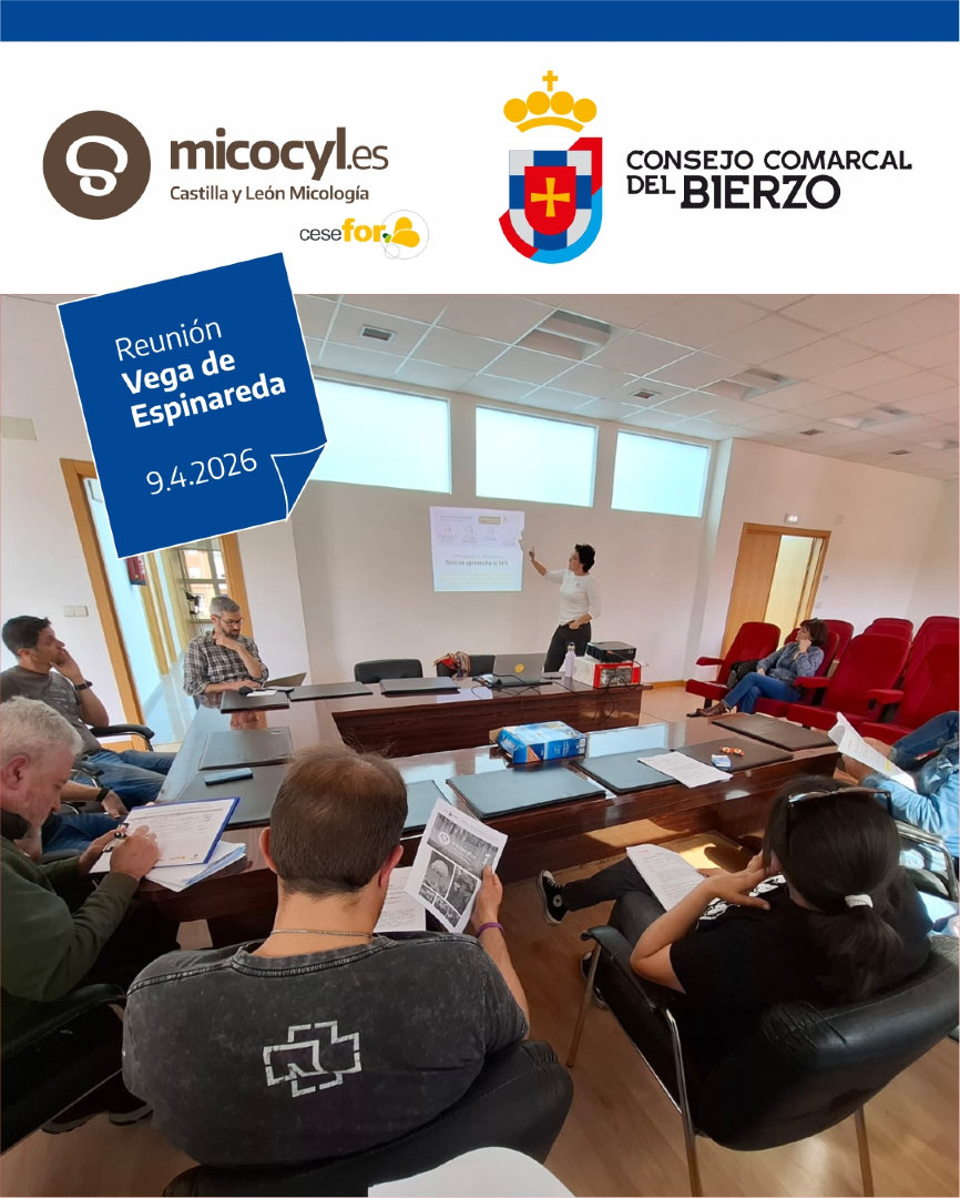 Programa Micocyl tweet media