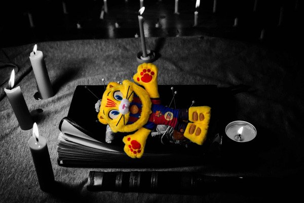 (fan) Raphi Cat tweet media