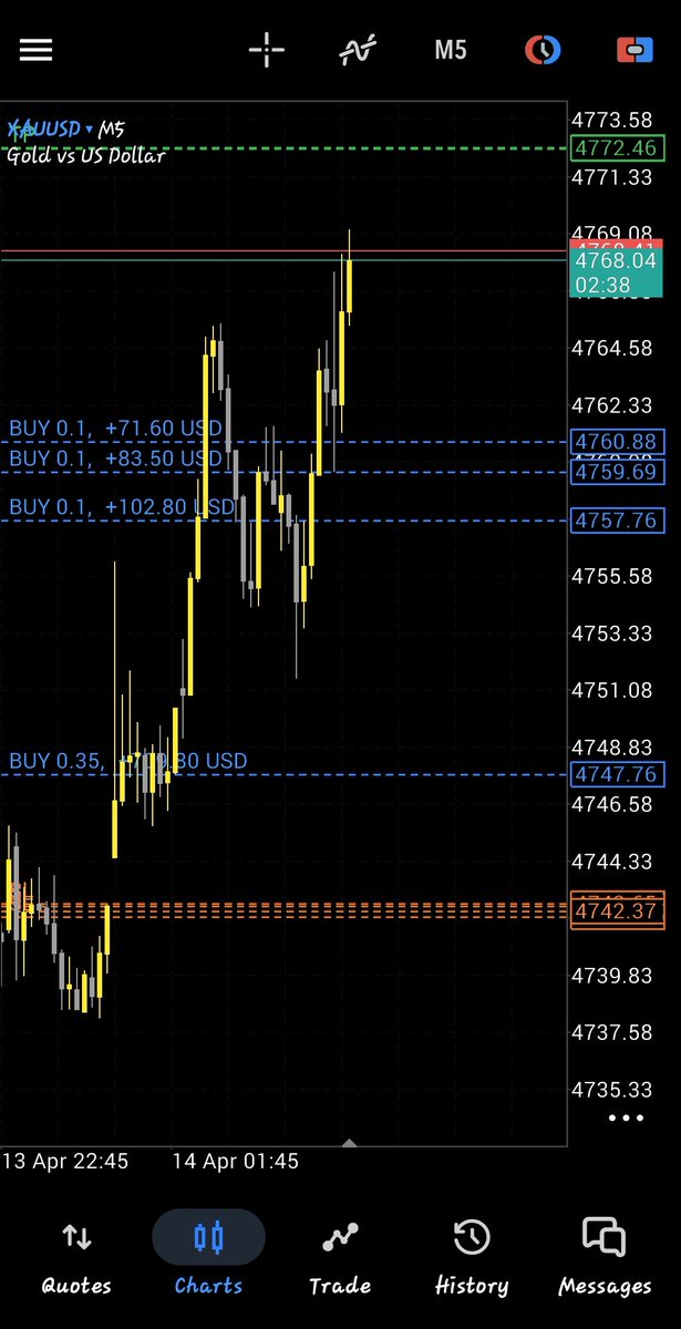 Loveday Israel tweet media