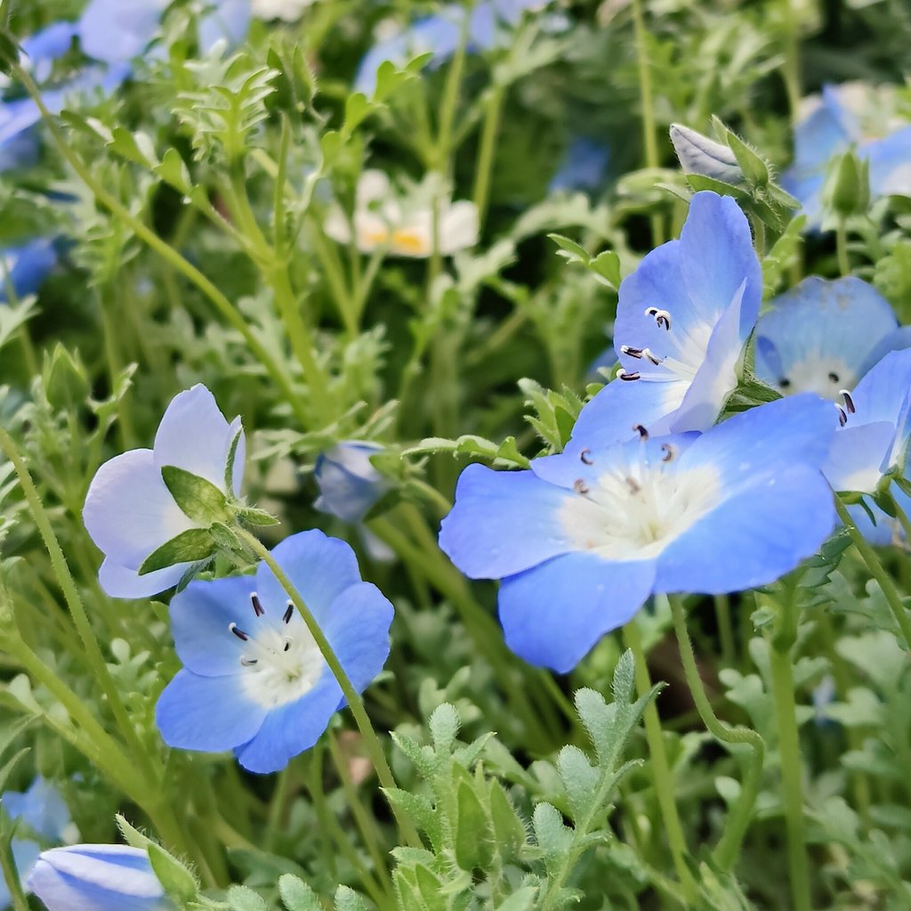 うさか@セル画作家 tweet media