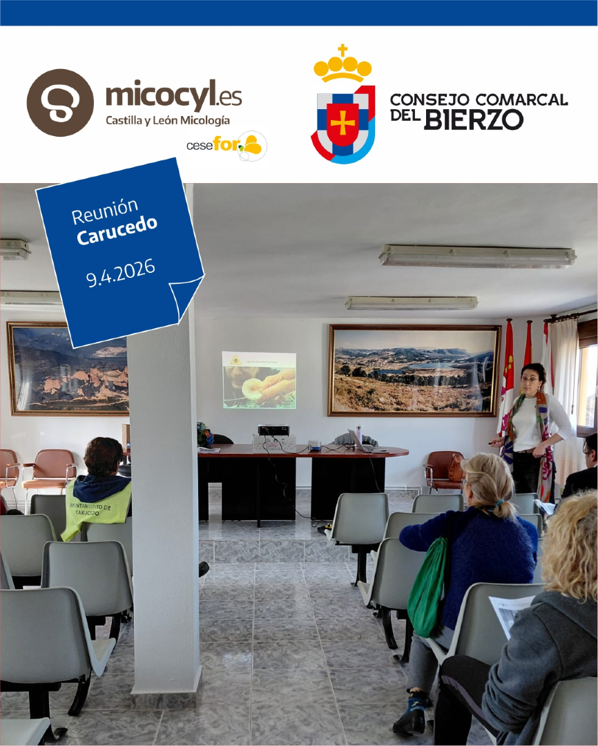 Programa Micocyl tweet media