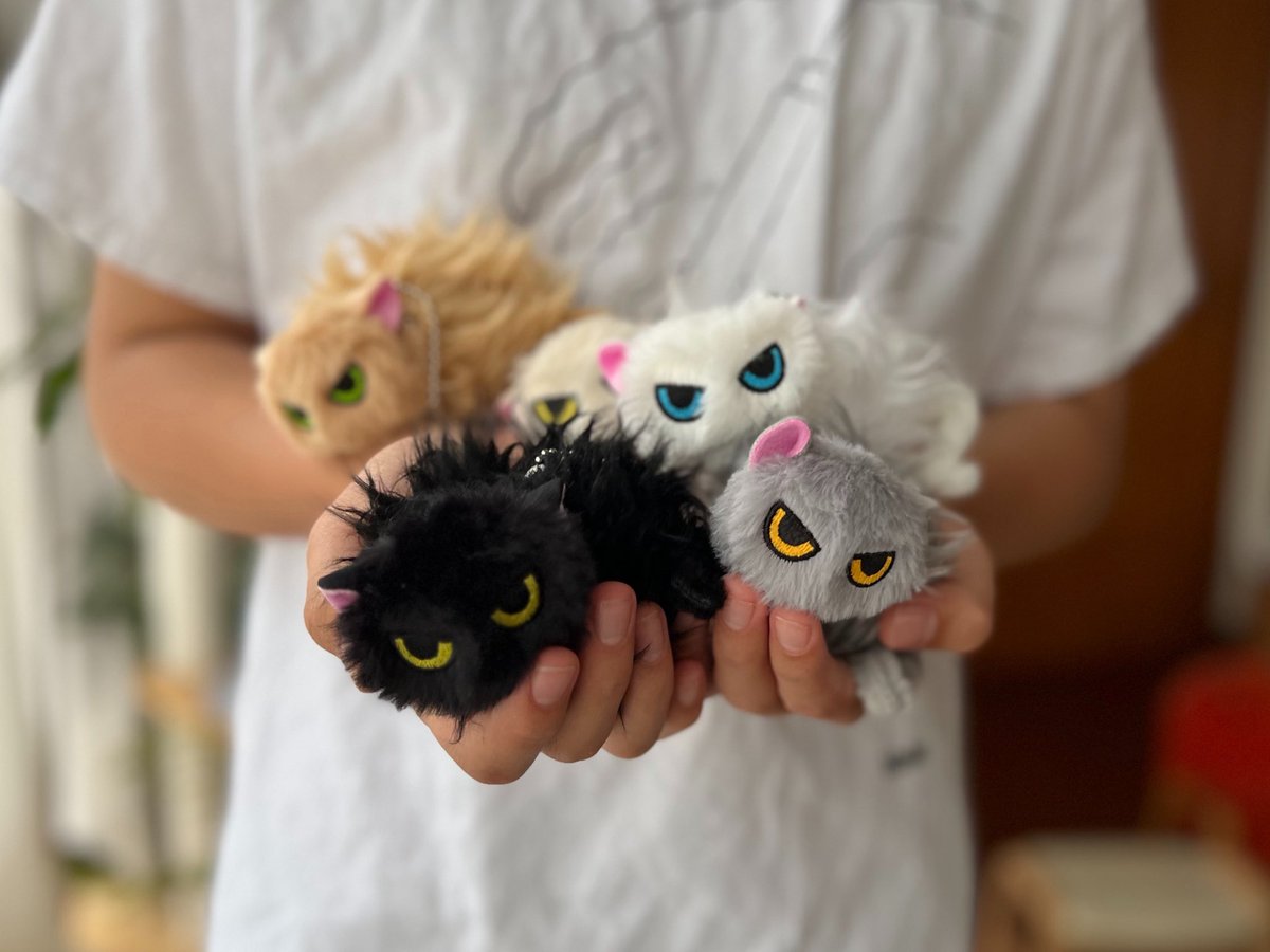 せこなお tweet media