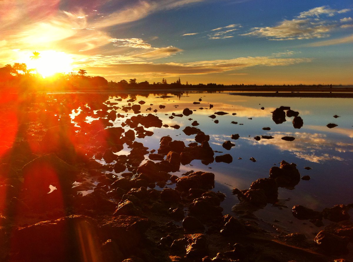 Brizzy_Renegade tweet media