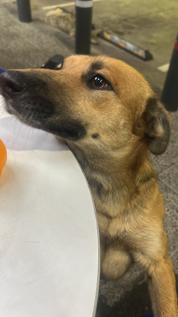 1ra espada🗡️ tweet media