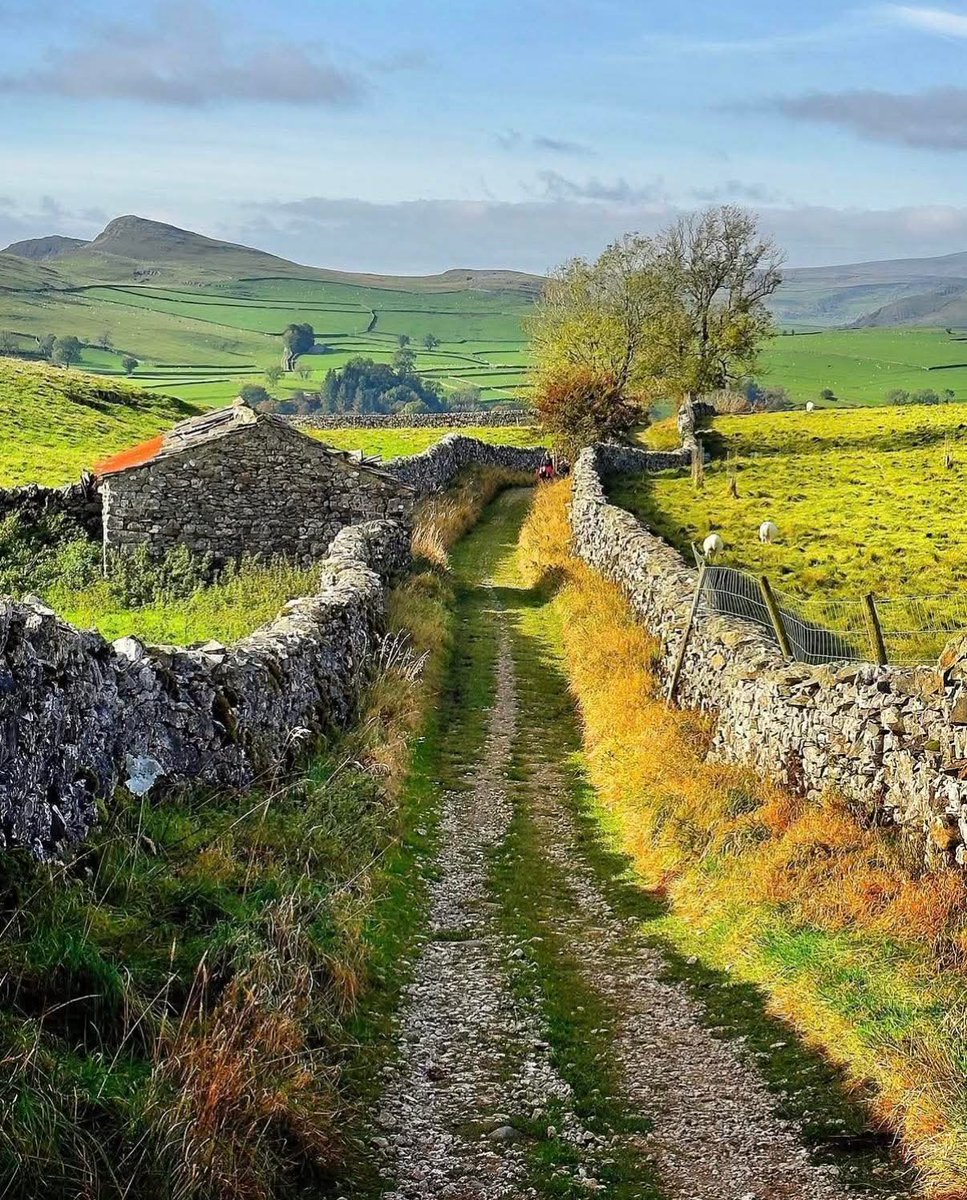 City Lights tweet media