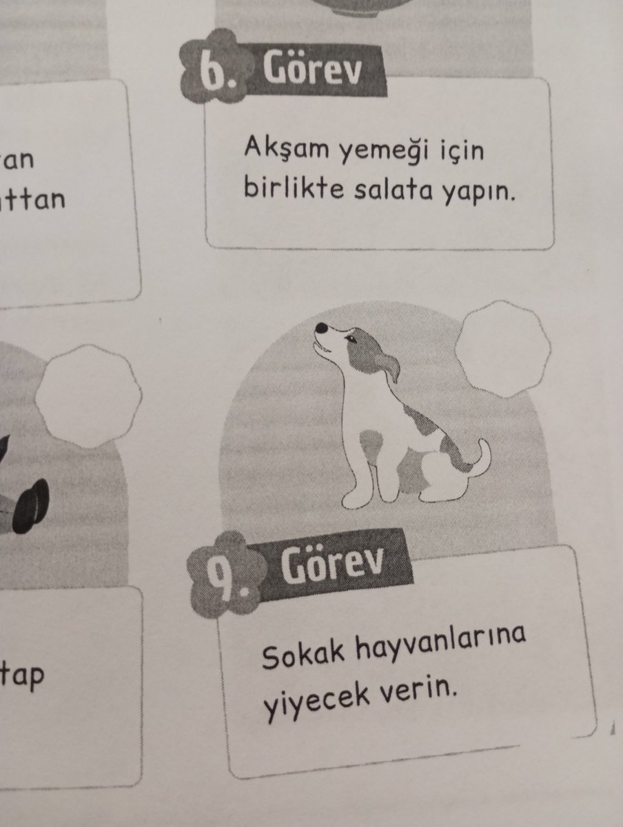 Başıboş Köpek Tehlikesi tweet media