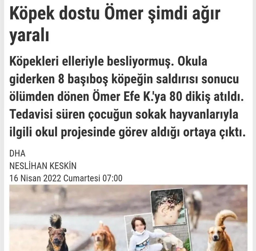 Başıboş Köpek Tehlikesi tweet media