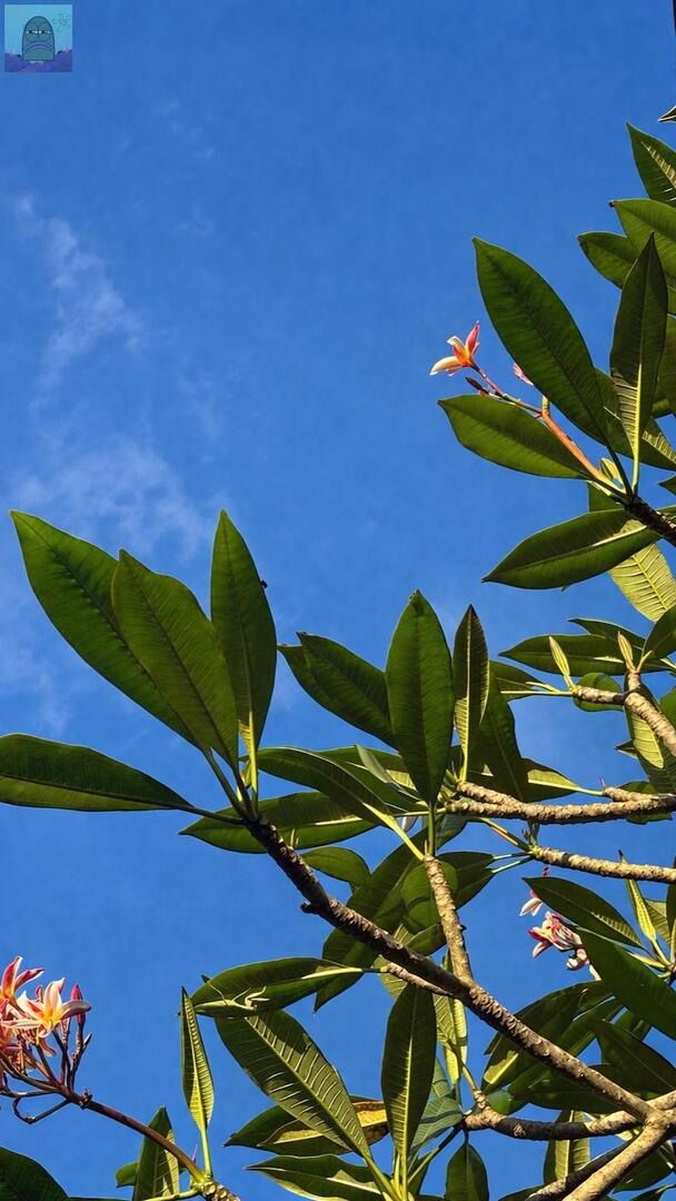 Tanyarl 💚 tweet media