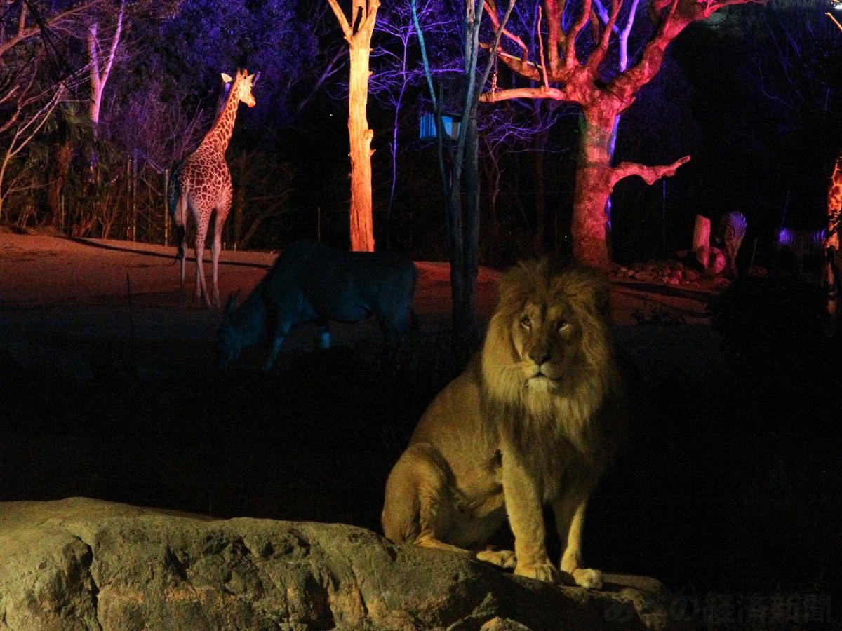 いみぎ㌠₍ᐢ._. ᐢ₎ tweet media