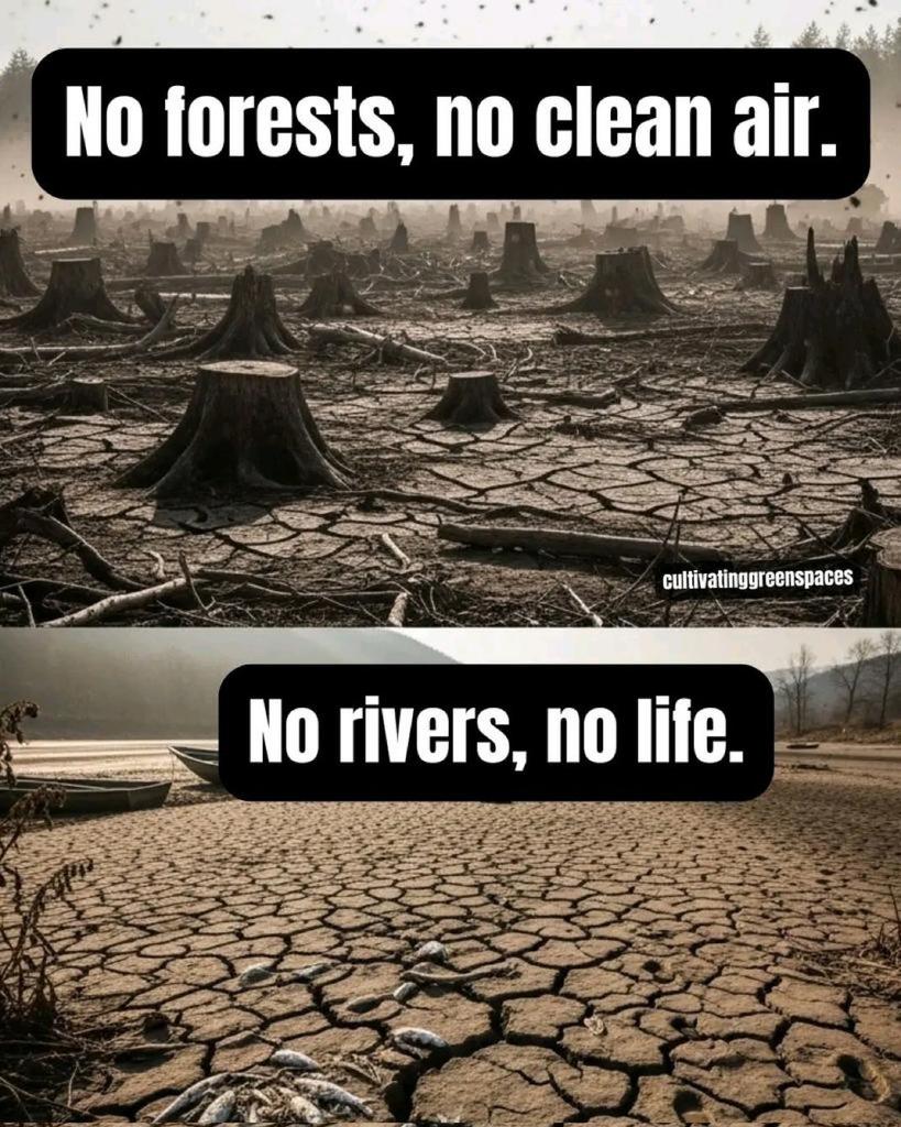 AbiluTangwa's tweet image. Dear Humankind 🌍  

We didn’t “inherit” Mother Earth.  
We borrowed it from our children and their children.  

This planet is not our possession — it’s a sacred loan.  

Every decision we make today is either an act of stewardship… or theft from the future.  

#ClimateAction