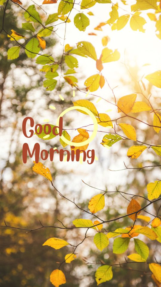 𝓙𝓾𝓵𝓲𝓪𝓷𝓪 tweet media