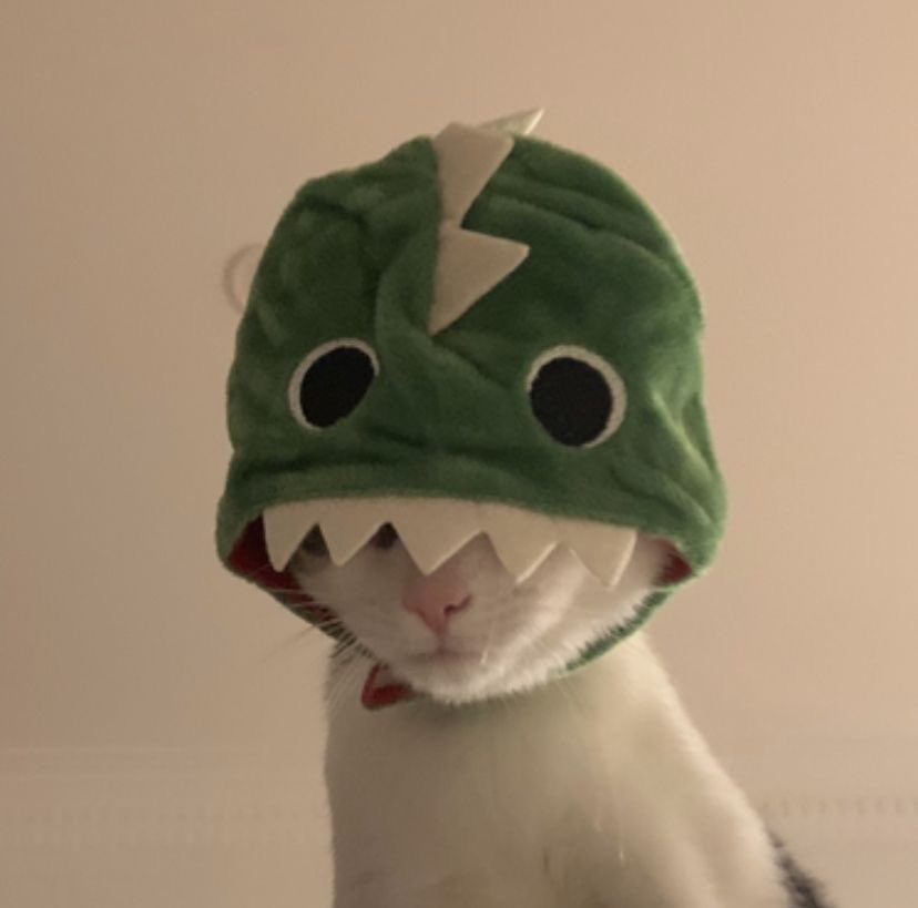 JDollar☂️ tweet media