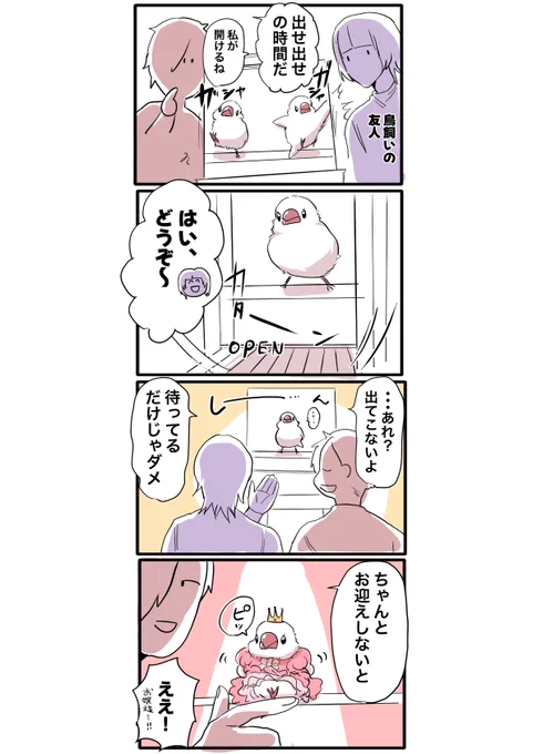それぞれの、放鳥スタイル 
