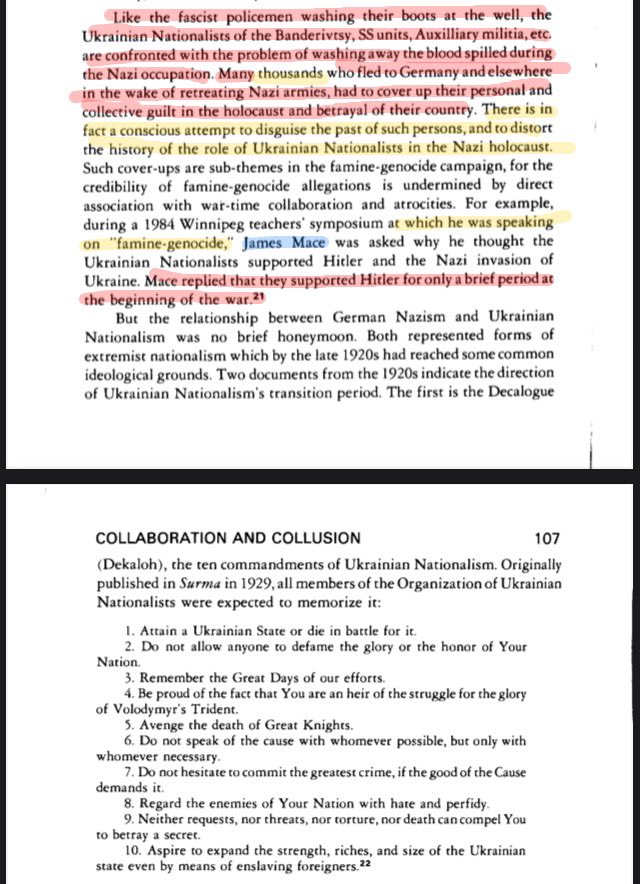 The Red One 🇵🇸 tweet media