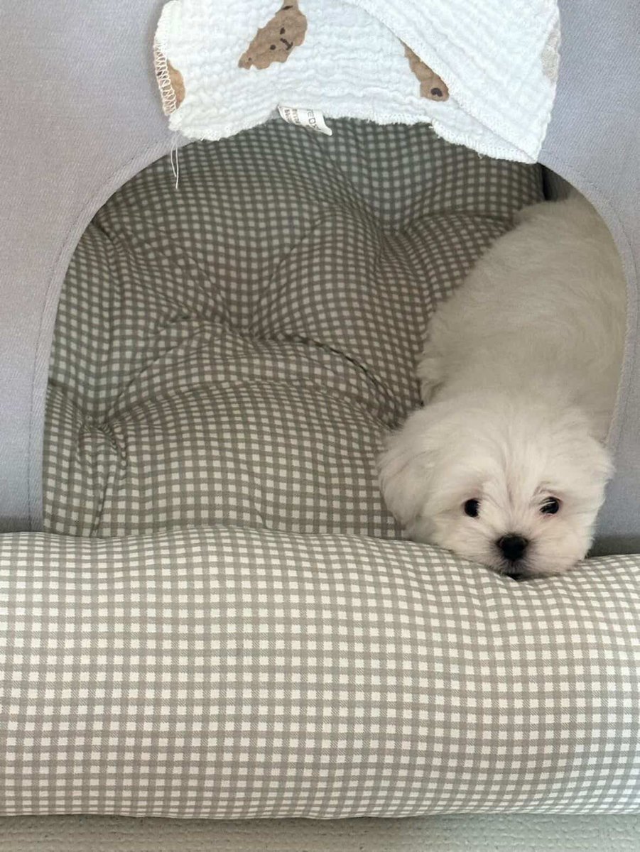 en εїɞ tweet media