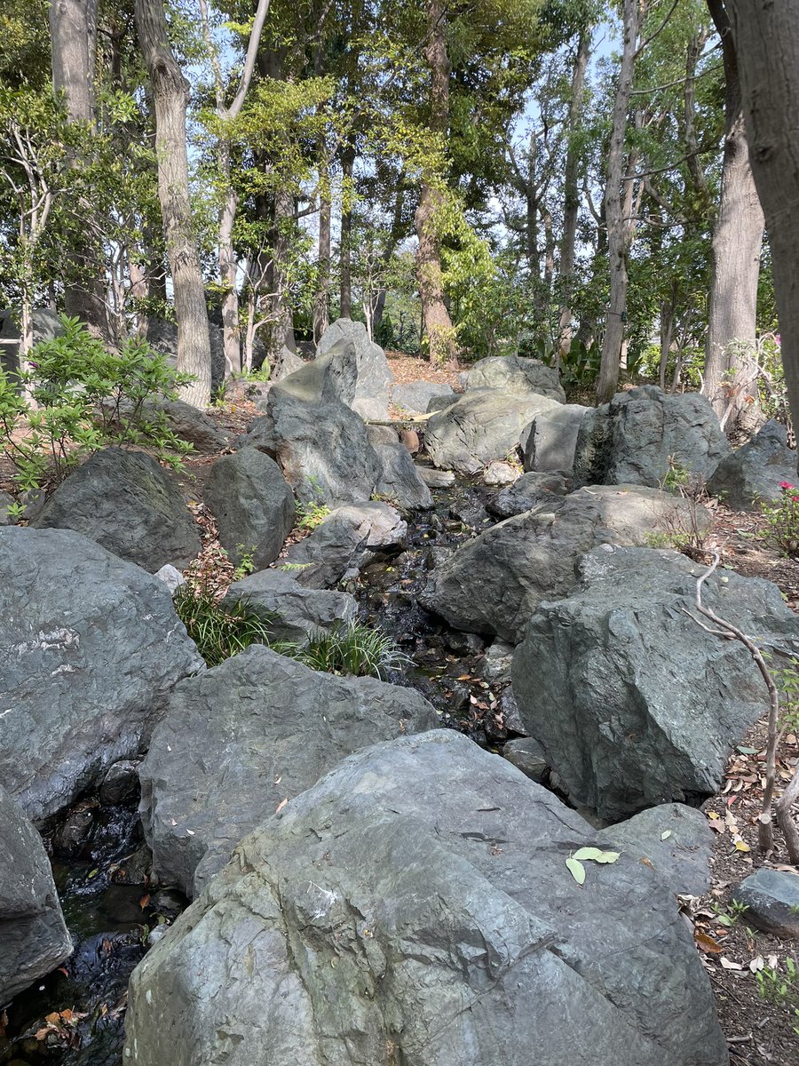 たくさん靴を買って歩き回って割と近くに良い庭があった