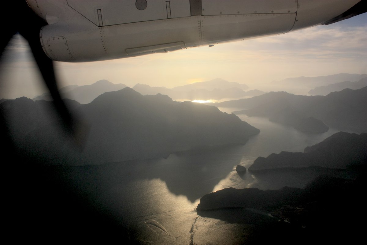 Forstler tweet media