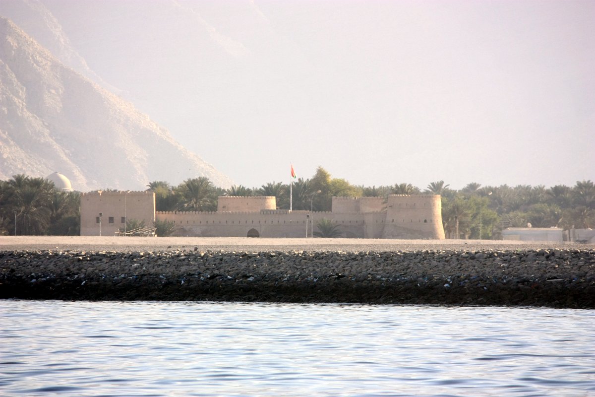 Forstler tweet media