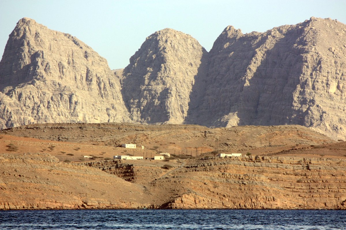 Forstler tweet media