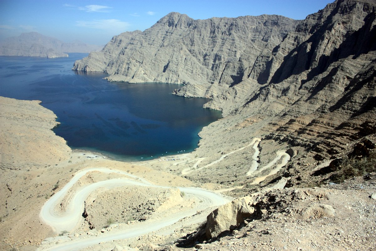 Forstler tweet media