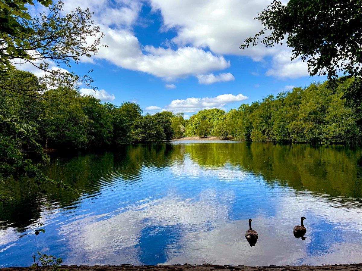 Jocaccia tweet media