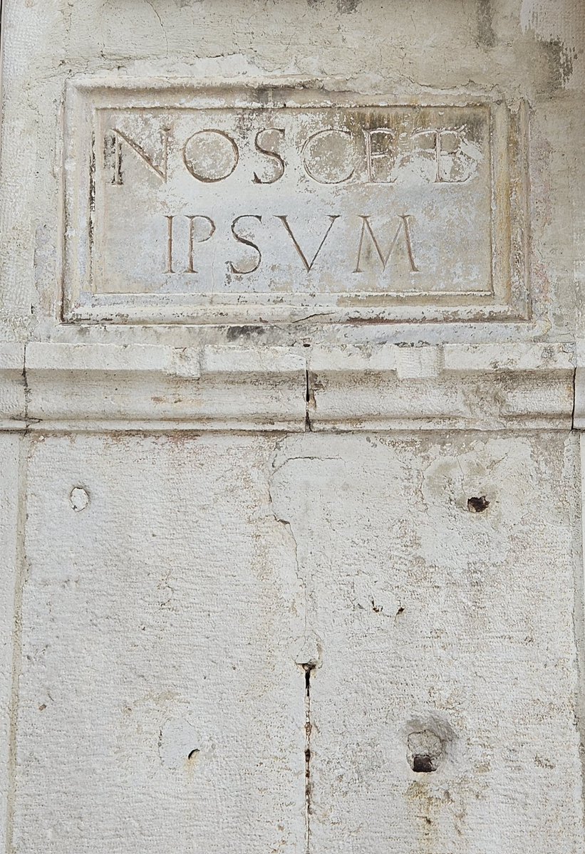 žensky bookowski tweet media