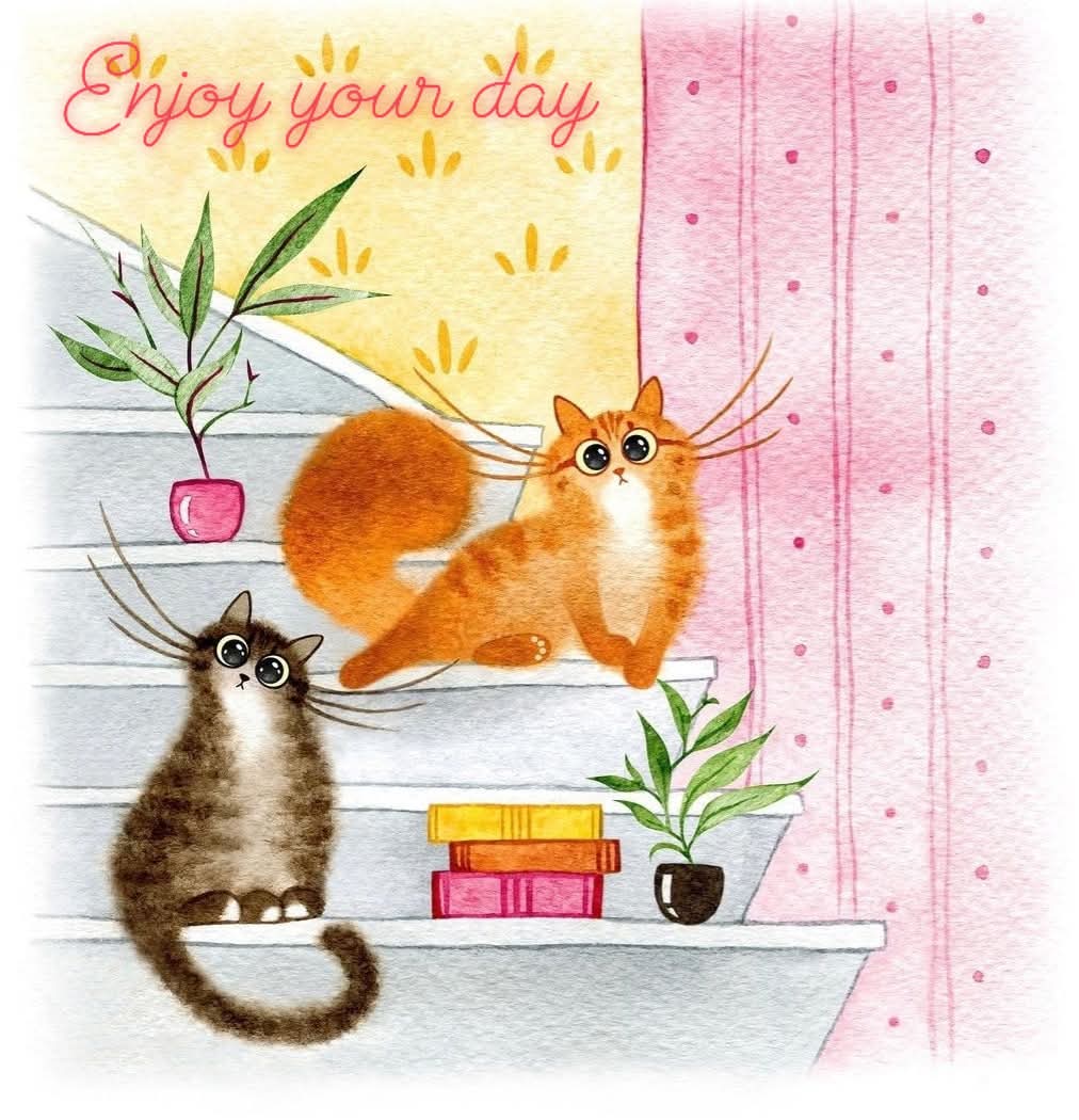 Sandra👩▪︎😺Ozzy 😺Zara 😺Woody tweet media