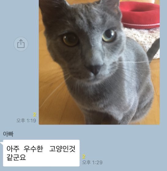 진짜ㄹㅇ프리라떼 tweet media