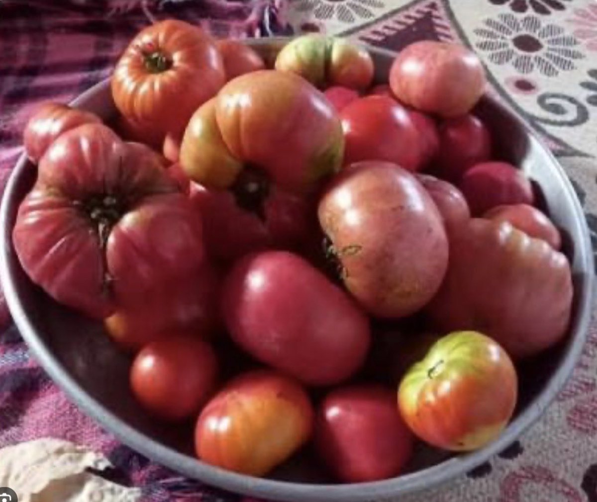 Kapadokya yolculuğum sırasında, yol kenarında duran mütevazı bir tezgahta küçük bir mola vermiştim. Yerel ve doğal ürünler almak niyetiyle beklerken, satıcıyla yaptığım uzun sohbet bana düşündürücü bir gerçeği gösterdi: Tezgahta gördüğümüz pek çok ürün aslında bu topraklara ait