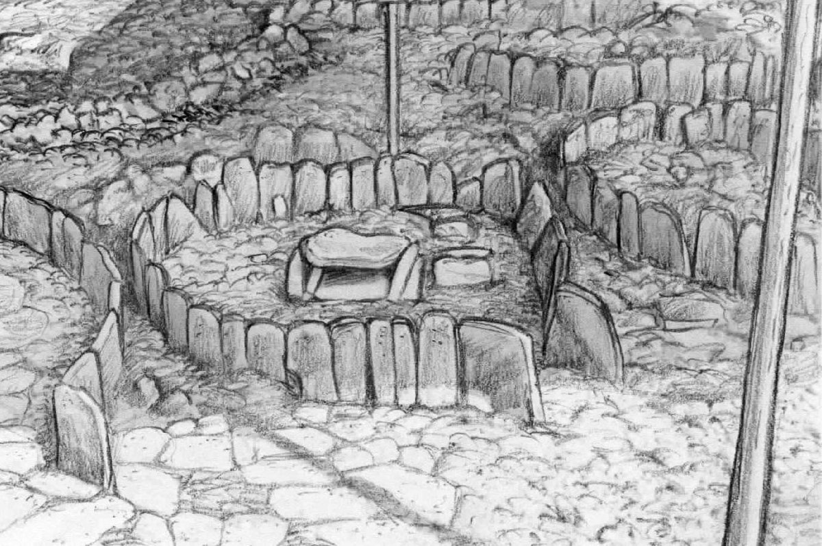 SibillaItalica's tweet photo. #celti in italia, un #libro dedicato all' #archeologia e alla ricerca #genetica sul mondo preromano https://t.co/KXW6YXf5o1 #storia #insubria #celtic https://t.co/n71MwReQJF https://t.co/8TF61cy2O4
