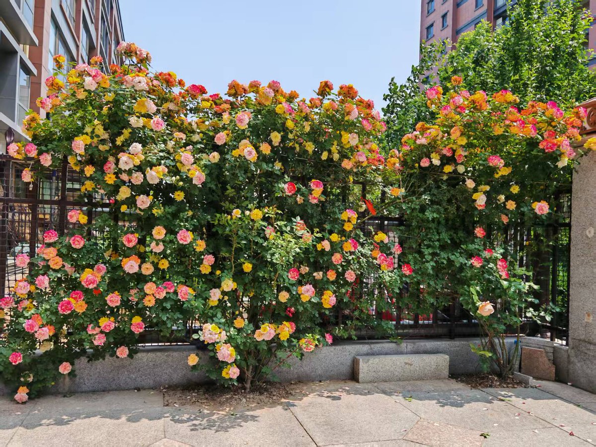 Abilaazh Kamalanatha tweet media