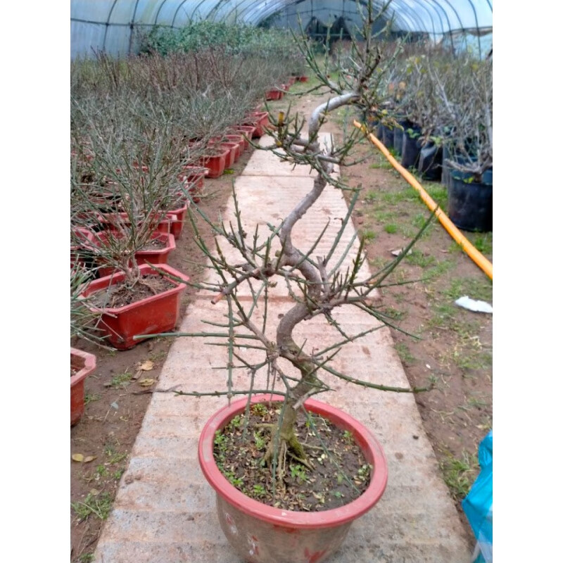 Kaylinn Draper tweet media