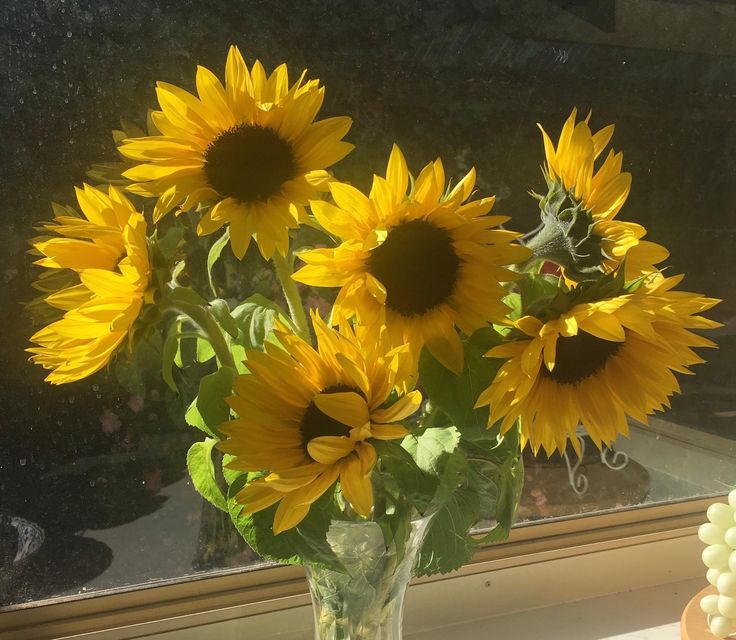 ‧₊☘️˖˚ 𝐋𝐞𝐚𝐟 !✩| SUPPORT REN tweet media