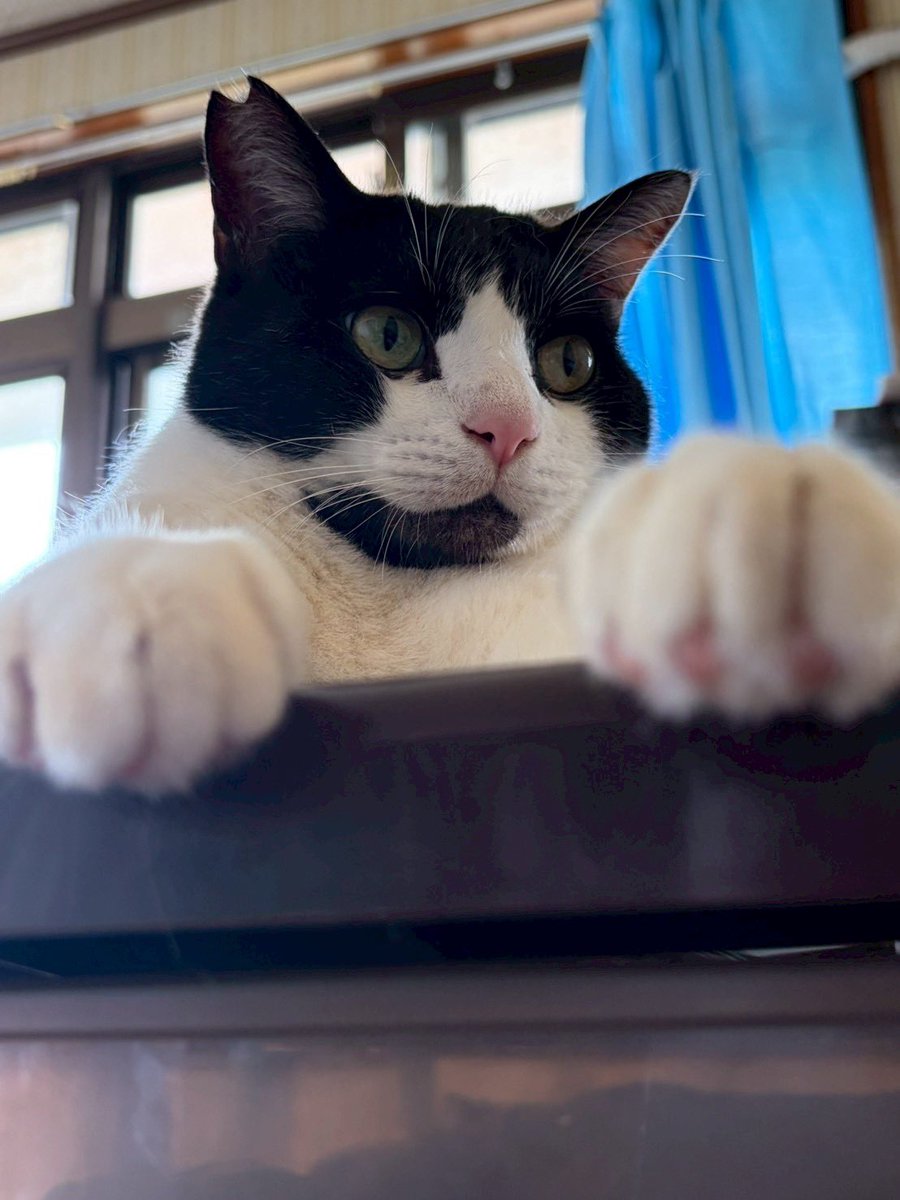 ちゅらさく tweet media