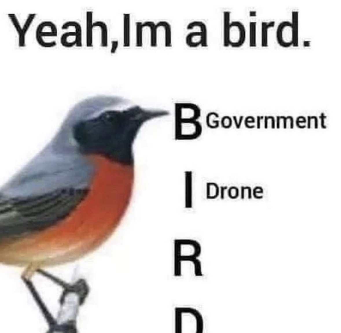 Respectful Memes (@respectfulmemes) on Twitter photo 