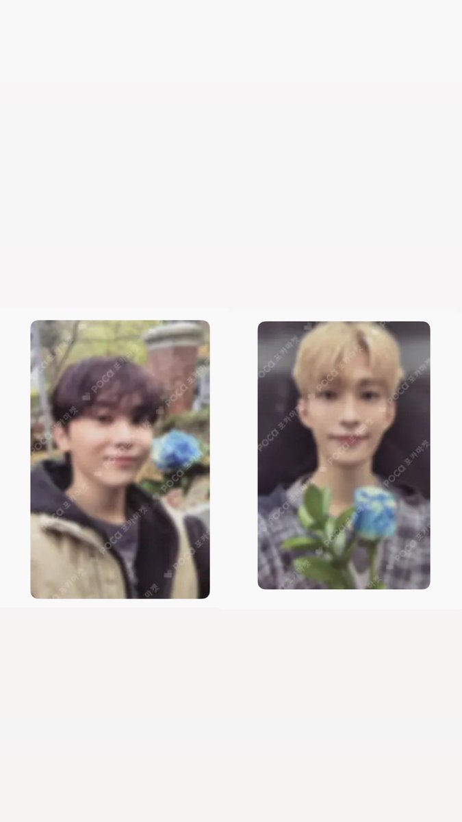 S21004cj's tweet photo. 세븐틴 포카 양도 도겸 승관 소야곡 공방 사녹
일괄 8.0
인증가능

https://t.co/JXaQFknML6

SVT SEVENTEEN 공방 사녹 DXS 뿌도 도겸 승관 포카 photocard want to buy 판매 구매 음중 엠카 쿠테만테 wtb https://t.co/cCDerMNX0U