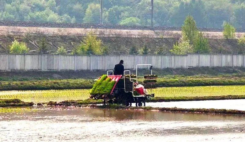 JilinChina's tweet photo. 🌱 #Jilin is giving its fertile #BlackSoil a nutrient boost – cutting back on chemical fertilizers, ramping up on organic inputs, and bringing in smart tech🚜.
With water reserves secured and efficient irrigation in place, the land is ready to thrive. #JilinUpdates https://t.co/lwC4jQb24N