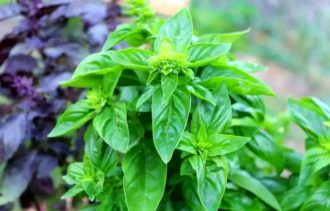 Marijo Castle tweet media