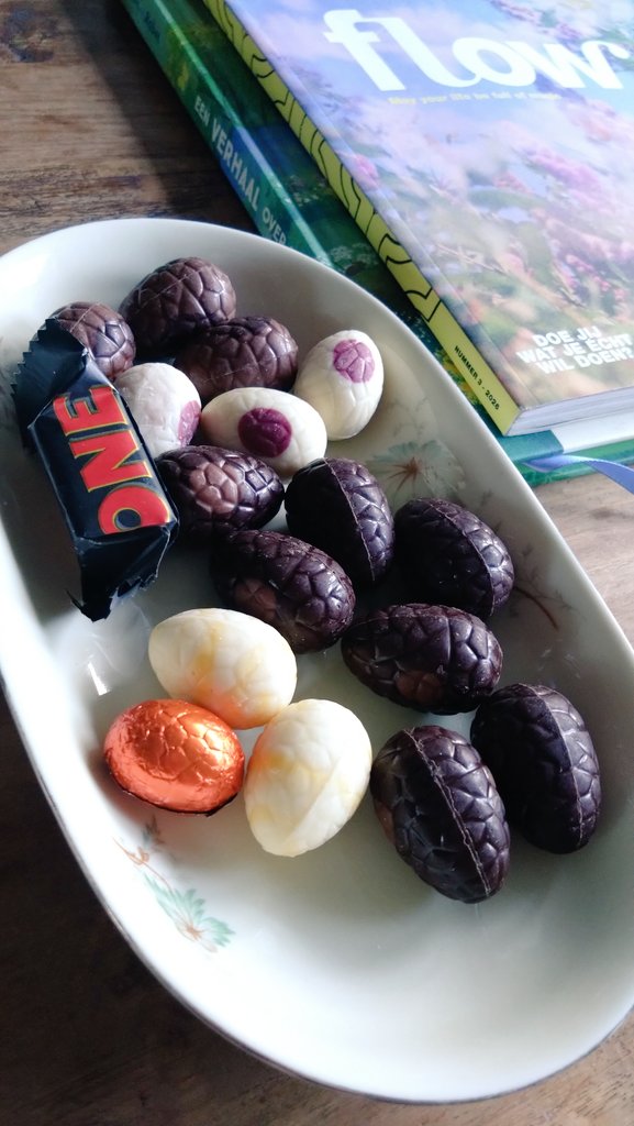 estellatwinkle tweet media