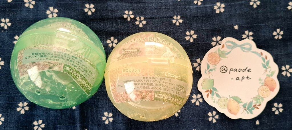 いち🚲️ tweet media