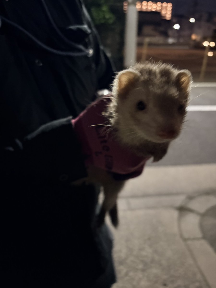 F.j Watson tweet media